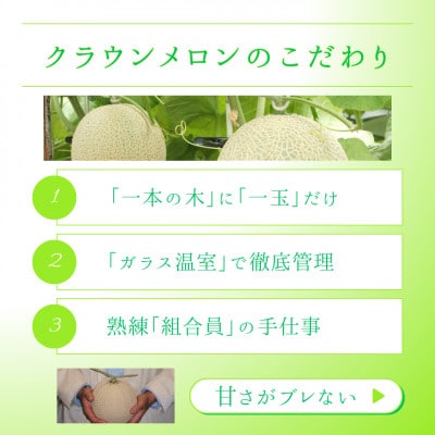 静岡県磐田市 クラウンメロン 白等級 約1.3kg×3個【配送不可地域：離島・北海道・沖縄県】