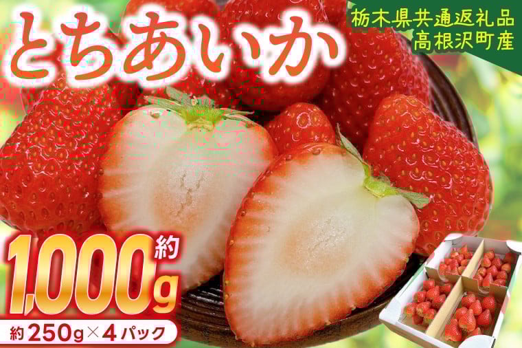 
                  【順次発送】 栃木県産 とちあいか 合計1,000g (250g以上×4パック) 農家直送 家庭用 和饗エコファーム 【栃木県共通返礼品/高根沢町産】｜ 栃木県 ふるさと納税 いちご イチゴ 苺 果物 フルーツ とちあいか 熟成 (DW001)
                