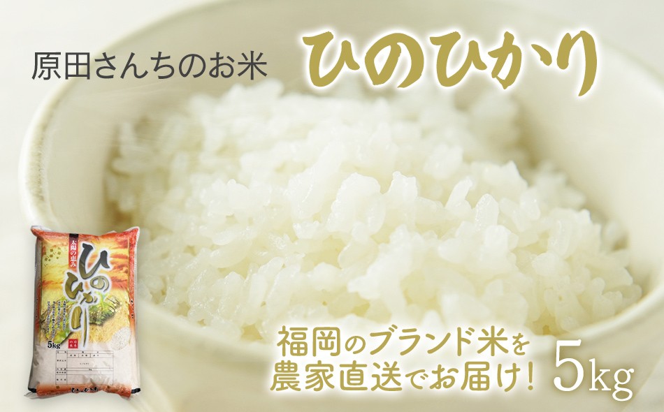 
                  「原田さんちのお米」ヒノヒカリ 5kg お取り寄せグルメ お取り寄せ 福岡 お土産 九州 ご当地グルメ 福岡土産 取り寄せ 福岡県 食品
                