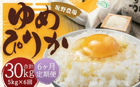 【2026年10月上旬発送開始予定】【6ヶ月定期便】らんこし米 ゆめぴりか約5kg