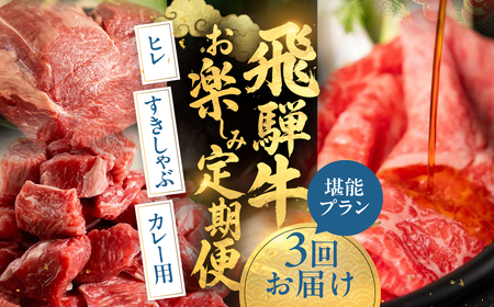 【発送月固定】飛騨牛お楽しみ定期便 3回 発送月固定