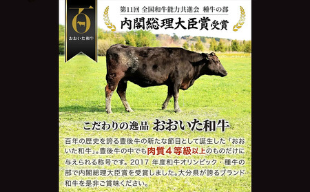 ヒレ ステーキ (6枚) おおいた和牛ヒレステーキ