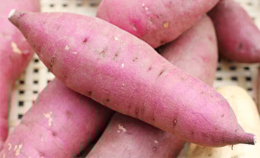 品種おまかせでお送りします。