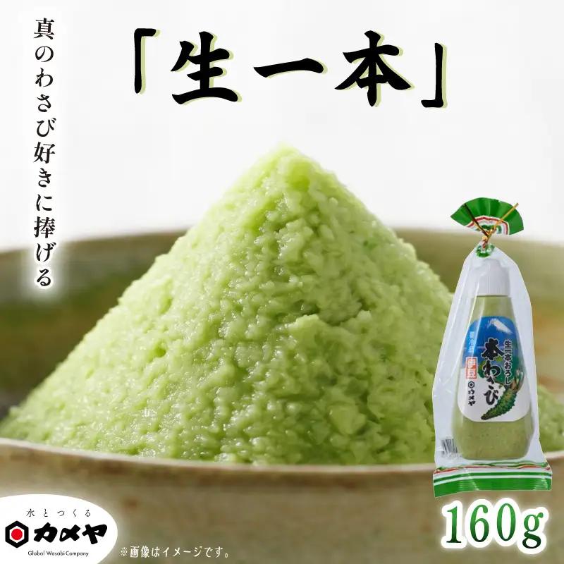 生一本おろし本わさび 160g 山葵 ワサビ