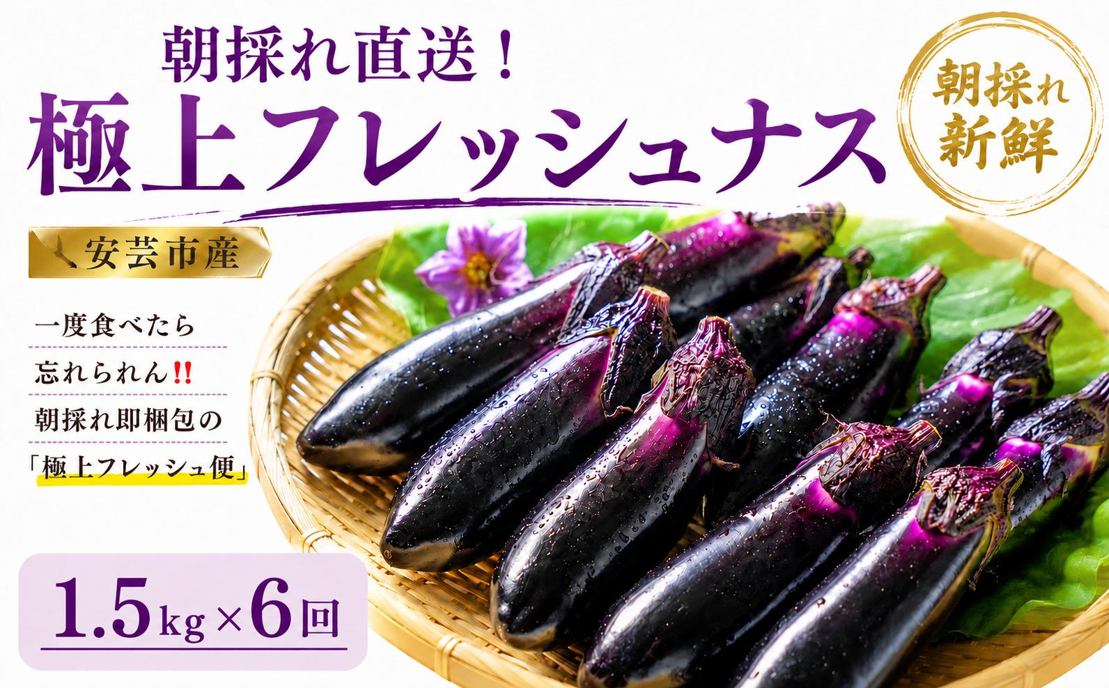 【先行受付】 6回定期便 「優秀賞受賞なす」 計9kg 約1.5kg×6回 採れたて 新鮮 旬 野菜 やさい 茄子 先行予約 期間限定 季節 料理 ご飯 ごはん 朝採れ 極上 フレッシュ 農産物 優秀賞 陽ざし 大地 収穫 即梱包 衛生的 ツヤ ハリ 取れたて感 天敵農法 自家製肥料 環境制御 お竜 焼きなす 揚げ浸し 煮びたし カレー パスタ たたき ぽん酢 こたにん農園 安芸市 高知県