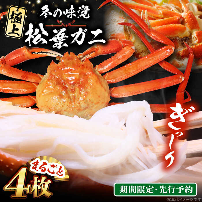 【ふるさと納税】【期間限定・先行予約】冬の味覚の代表格！松葉ガニ 4枚 島根県松江市/フジキコーポレーション株式会社[ALDS019]｜ 松葉ガニ 松葉蟹 かに カニ 蟹 ズワイガニ 鍋 蟹 冬 グルメ 海鮮 お取り寄せ 誕生日 ご褒美 国産 冬の味覚 人気 おすすめ 島根