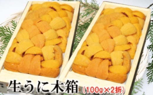 F-65001 エゾバフンウニ100g×2折【11/30まで年内配送】