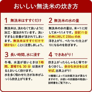 令和7年産 無洗米 静岡のお米 2kg 静岡県米 無洗米 藤枝市