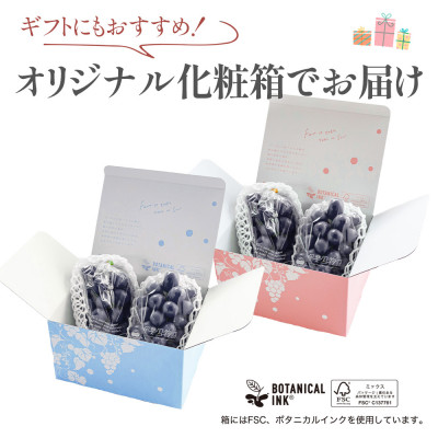 【2026年発送分先行受付】山梨産 巨峰(種無し) 2房 約1kg 化粧箱入り【配送不可地域：離島・沖縄県】
