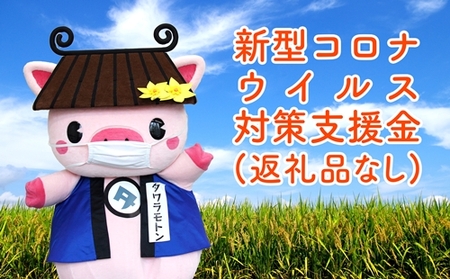 奈良県田原本町 新型コロナウイルス感染症対策寄附金《10,000円》（返礼品はございません）／ 返礼品なし 寄付のみ コロナ