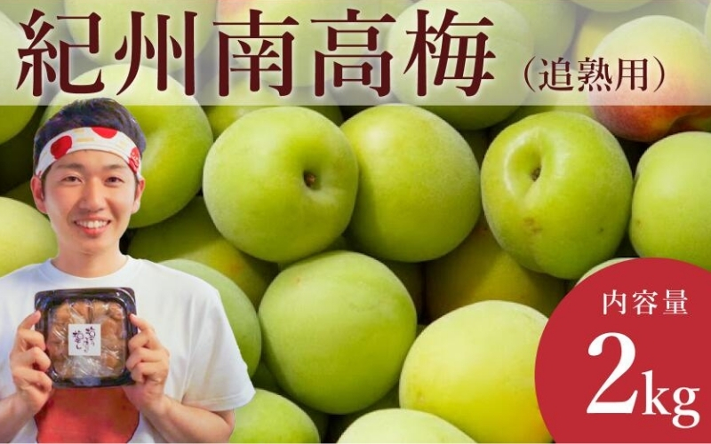 ［先行予約］樹上南高梅の青梅 2L 約2kg 追熟用 梅ボーイズ 紀州南高梅 5月下旬～6月下旬頃に順次発送予定 A-093a【umehkr016A】