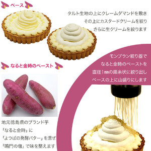 モンブラン タルト さつまいも なると金時 4号 冷凍 ケーキ タルト モンブラン 洋菓子 焼菓子 デザート スイーツ CAKE EXPRESS 阿波市 徳島県 ドリームチーム