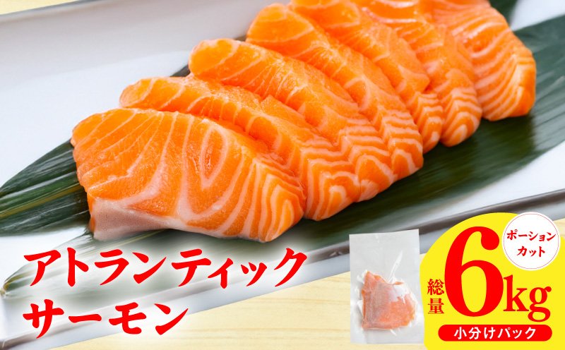 アトランティックサーモン 6kg【小分け ポーション 柵切り 刺身 魚介 海鮮 さーもん 生食 訳あり サイズ不揃い 大阪 泉佐野 大阪府 泉佐野市】