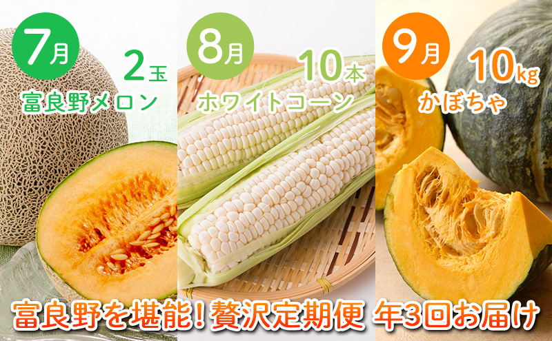 2027年夏～発送 富良野を堪能！贅沢 定期便 年3回  北海道 富良野産 とうもろこし メロン かぼちゃ 野菜 ふらの とうきび