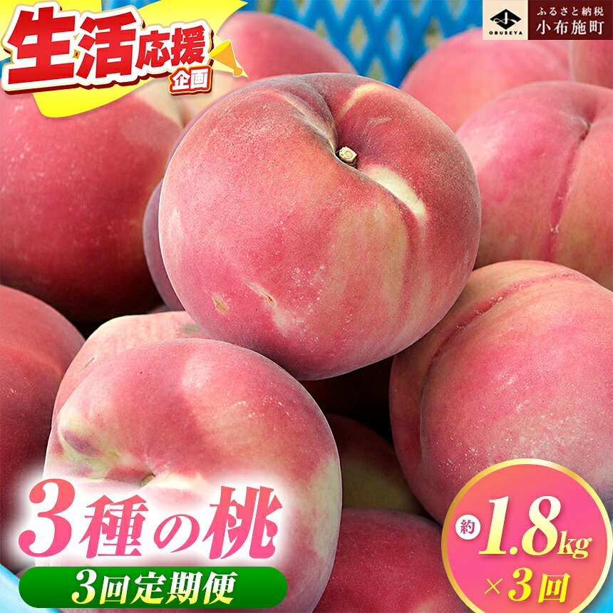 【ふるさと納税】【3回定期便】小布施屋の桃食べ比べ定期便 約1.8kg×3回 ［小布施屋］ もも モモ フルーツ 果物 先行予約 あかつき なつっこ 川中島白桃 だて白桃 1.8kg 3回 長野県産 信州産 クール便 冷蔵便 令和8年産 【2026年7月末〜9月上旬発送】