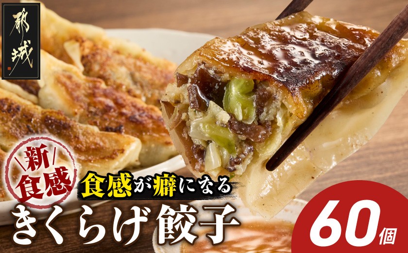 
                  食感が癖になる!きくらげ餃子60個_12-87-001-60_(都城市) ギョウザ 10個入り 6パック きくらげ 豚肉 きゃべつ ニラ ニンニク使用 大杉しいたけ園 コリコリ食感
                