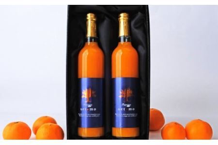 温州みかん100%ストレートジュース【Premium Taste uetomo】500ml×2本セット(B670-1)