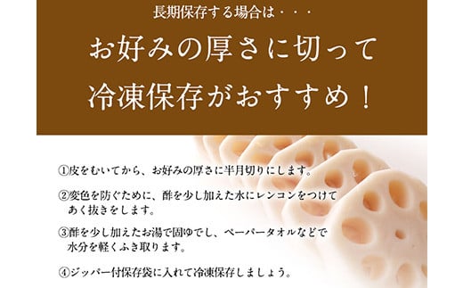 レンコン 約5kg 《11月下旬-3月末頃出荷(土日祝除く)》 熊本県氷川町産 道の駅竜北---sh_cmitiren_cf113_r7_16500_5kg---