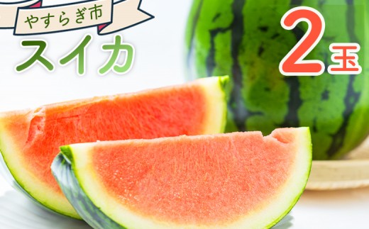 
                  スイカ 2玉 yr-0120
                