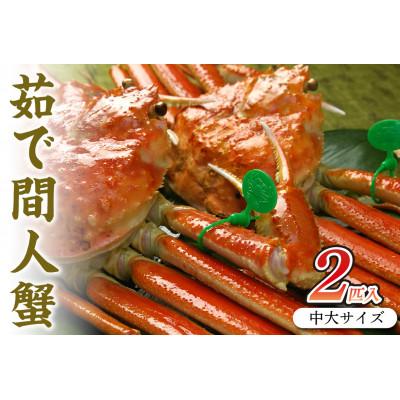ふるさと納税 京丹後市 京丹後市産 茹で間人蟹【厳選】中大サイズ2匹入りtaizakani800