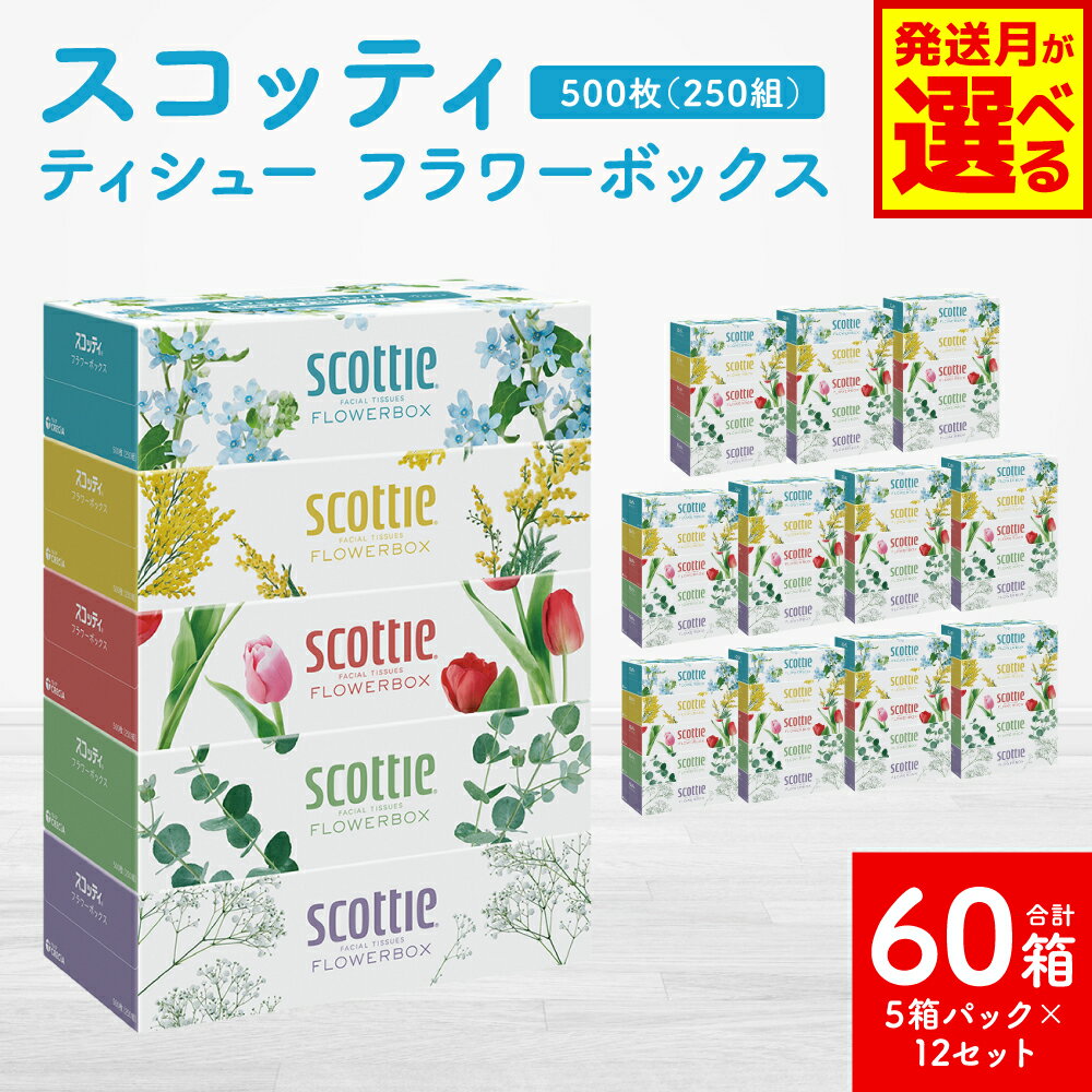 【ふるさと納税】 【選べる発送月】 【スコッティ】 ティシュー フラワーボックス 250組（5箱パック×12 合計60箱） ティッシュ 日用品 生活必需品 コンパクト 防災備蓄 ローリングストック 備蓄 長持ち 常備品 防災 生活用品 送料無料