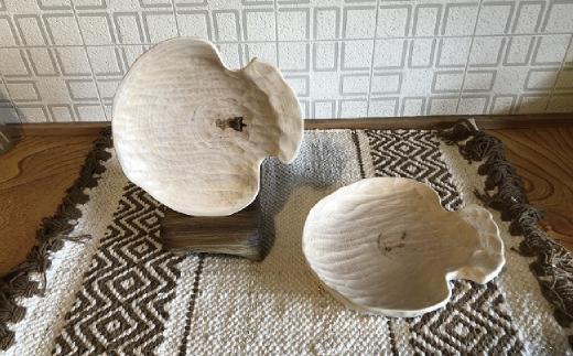 
[№5930-0292]木芸作家たまさんが造る ホタテの形の木のお皿
