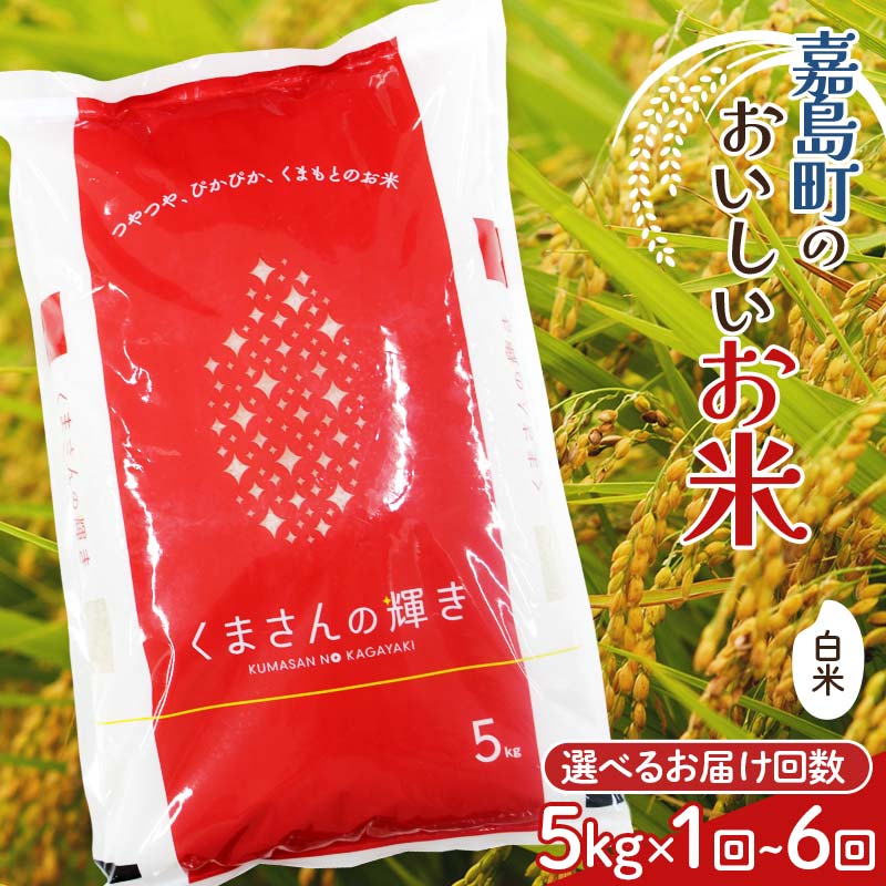 【ふるさと納税】《回数が選べる》【令和7年度産】【先行予約】嘉島町のおいしいお米（くまさんの輝き/白米） 5kg ＜2カ月～6カ月 定期便＞ 米 お米 コメ ごはん ご飯 食品 選べる 回数 定期便 FK7-0222var