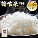 【ふるさと納税】令和6年産 鶴喰米 精米300g(2合分) ×1袋 お米 米 白米 精米 ご飯 熊本県産 国産 食べきりサイズ ポスト投函 送料無料