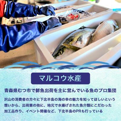 ふるさと納税 むつ市 津軽海峡　大間産　極上本マグロ　刺身用サク　(大トロ・中トロ・赤身)食べ比べセット |  | 02