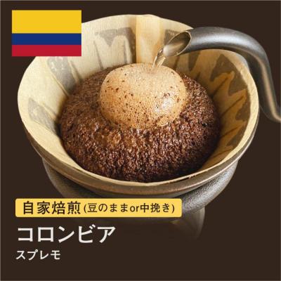 ふるさと納税 堺市 【豆】#001 自家焙煎コーヒー豆!コロンビア310g