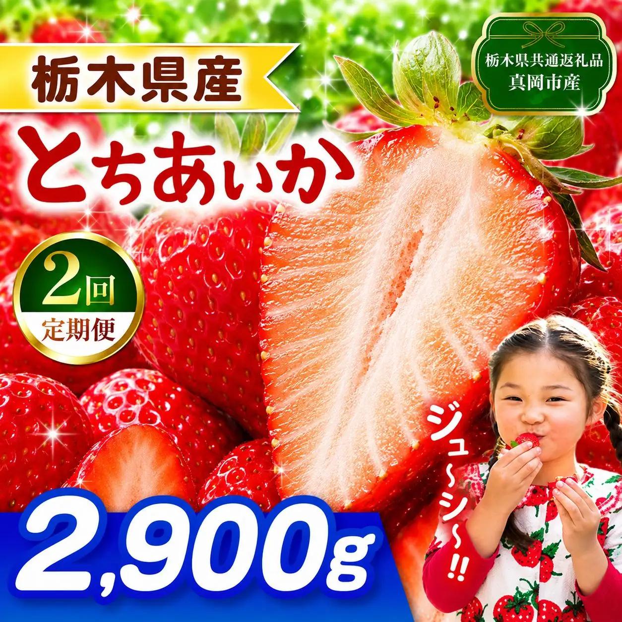 【栃木県共通返礼品】【先行予約】【定期2回】とちあいか 2900g | 栃木県 那珂川町 