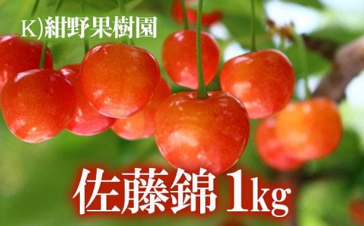 【ふるさと納税】No.2241さくらんぼ「佐藤錦」約1kg【2025年発送】