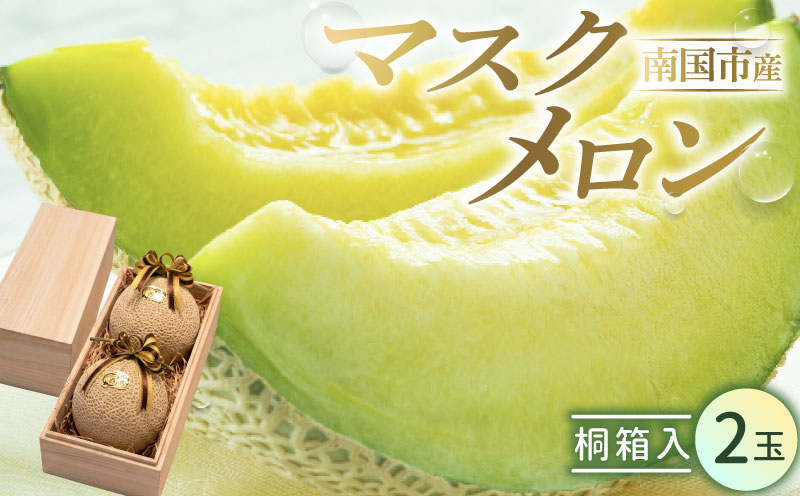高知県南国市産／厳選桐箱入りマスクメロン（2個）【メロン フルーツ くだもの デザート 高評価 厳選 高級 ギフト 贈り物 人気 おすすめ】【メロン マスクメロン フルーツ 果物 くだもの 食品 デザ