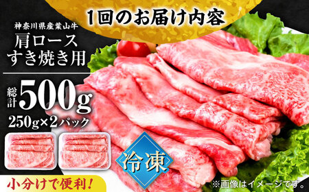 【全3回定期便】葉山牛肩ロースすき焼き用 250g×2パック 小分け 牛肉 すきやき 冷凍 計500g【株式会社羽根】 [AKAG036]