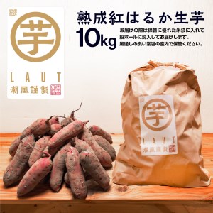 さつまいも 熟成 紅はるか 芋 10kg _CE005
