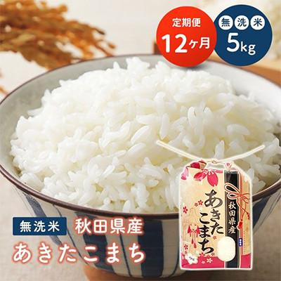 ふるさと納税 潟上市 【毎月定期便】秋田県産 あきたこまち 無洗米 5kg全12回
