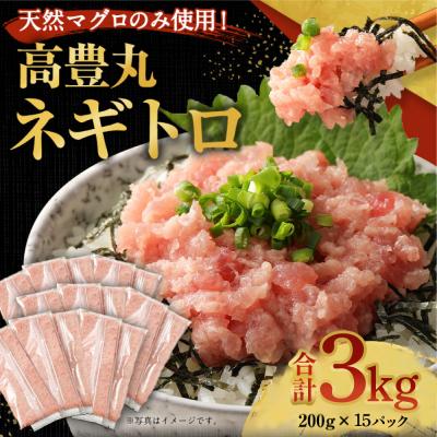 ふるさと納税 室戸市 高豊丸ネギトロ3kg