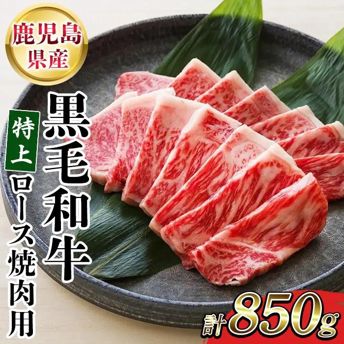 鹿児島県産 黒毛和牛 特上ロース 850g 牛肉【00-030-32】