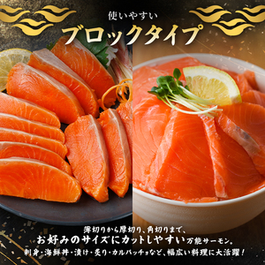 生活応援 サーモン切り落とし5枚付き！生食用 サーモン ブロック(計1kg・250g×4P) 小分け冷凍 魚 【AW-100】【丸正水産】