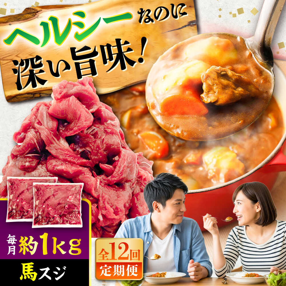 【ふるさと納税】【全12回定期便】馬スジ 約1kg (約500g×2パック) / 馬肉 スジ 馬すじ 煮込み 煮物 カレー お肉 スジ肉 スジ すじ肉 料理用 馬 肉 熊本 すじ【五右衛門フーズ】[BHCY044]