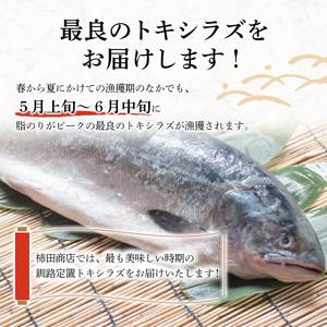 特大 船上活じめ釧路定置トキシラズ5切れ 肉厚 鮭 サケ 魚 海鮮 トキシラズ 時鮭 鮭切身 シャケ 冷凍 おかず F4F-4565