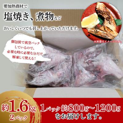 ふるさと納税 西予市 <異次元の鮮度!宇和海産『超冷薫』冷凍真鯛カマ　約1.6kg>　タイ　かま　海産　魚介　鯛めし |  | 03