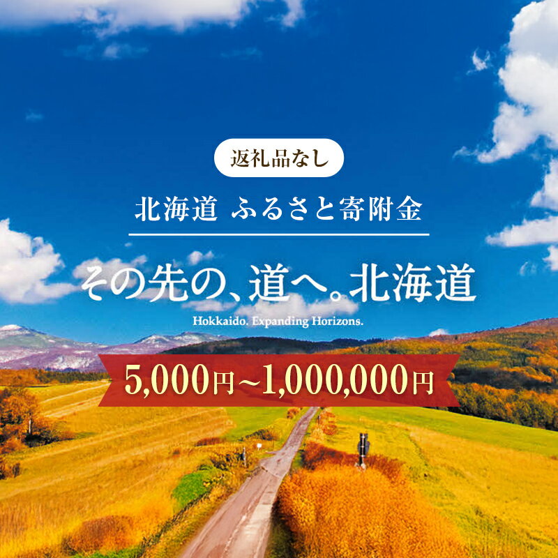 【ふるさと納税】＼選べる寄付額！／北海道庁 5,000円～1,000,000円 返礼品なしのご寄附 応援 エール 寄附のみ 返礼品なし 返礼品なしの寄附 F6S-660var