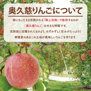 【先行予約】【訳あり】樹上完熟の奥久慈りんご「サンふじ」約5kg（12～23玉）【2025年11月上旬頃発送予定】不揃い 規格外 傷あり 色むら 家庭用｜斉藤りんご園第2直売所 茨城県 大子町 林檎 