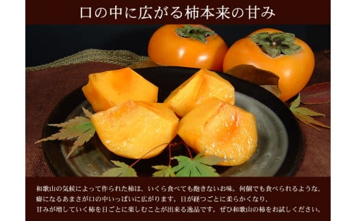 和歌山の 種なし 柿 約7.5kg【秀品：サイズ・品種おまかせ】和歌山県産/紀伊国屋文左衛門本舗　※2025年9月下旬～2025年11月下旬頃に順次発送予定(お届け日指定不可)【sutb801B】