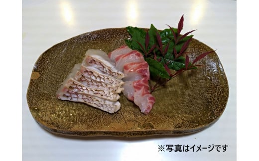 〈調理例〉　お刺身