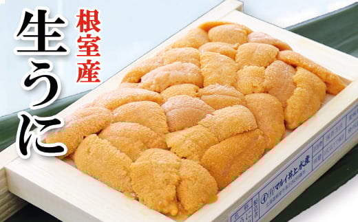 F-71013 【北海道根室産】エゾバフンウニ100g×1折