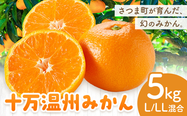 十万温州みかん L/LL混合 5kg 田野農園《12月中旬-3月中旬頃出荷》鹿児島県 さつま町 みかん 蜜柑 柑橘 果物 くだもの フルーツ ジューシー 送料無料