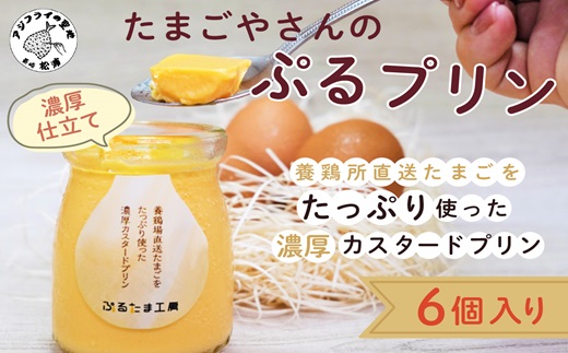 たまごやさんのぷるプリン 6個入(濃厚仕立て)( 新鮮 赤たまご ぷりん プリン 濃厚 カスタード )【A9-012】