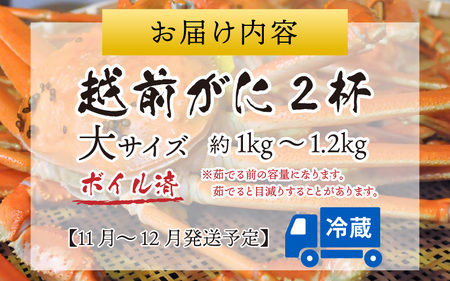 【先行予約】越前港より直送！ 越前がに 大 (約1kg～1.2kg) 2杯※発送前に在宅確認の電話連絡をいたします!【11月～12月発送予定】